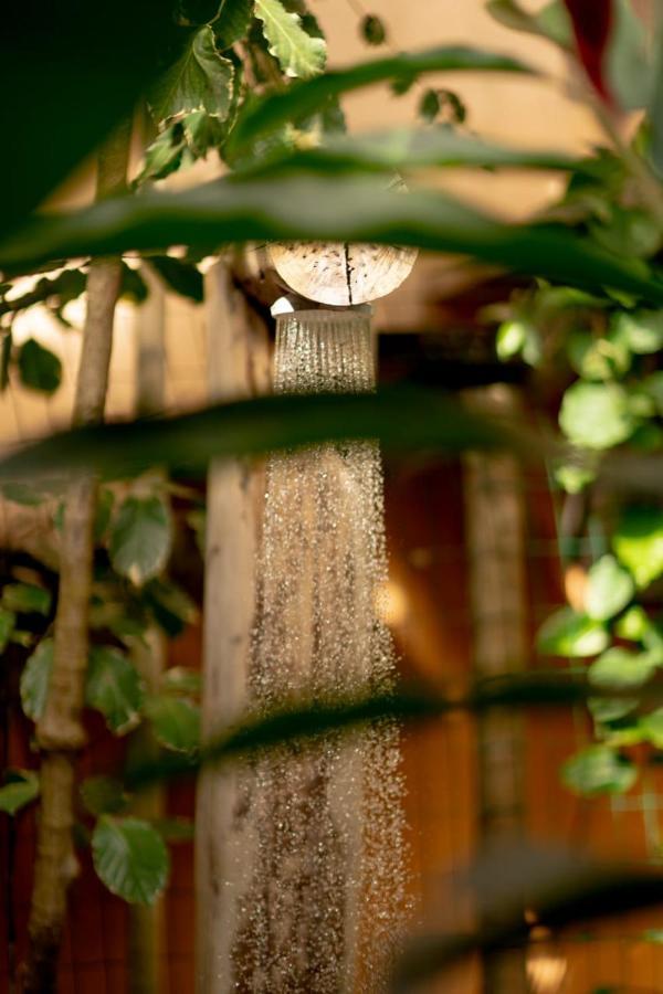 Bangalos Meu Jardim Caraíva エクステリア 写真